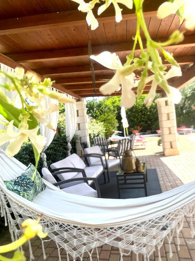 アルベロベッロ B＆B ミレッラ Bed & Breakfast エクステリア 写真
