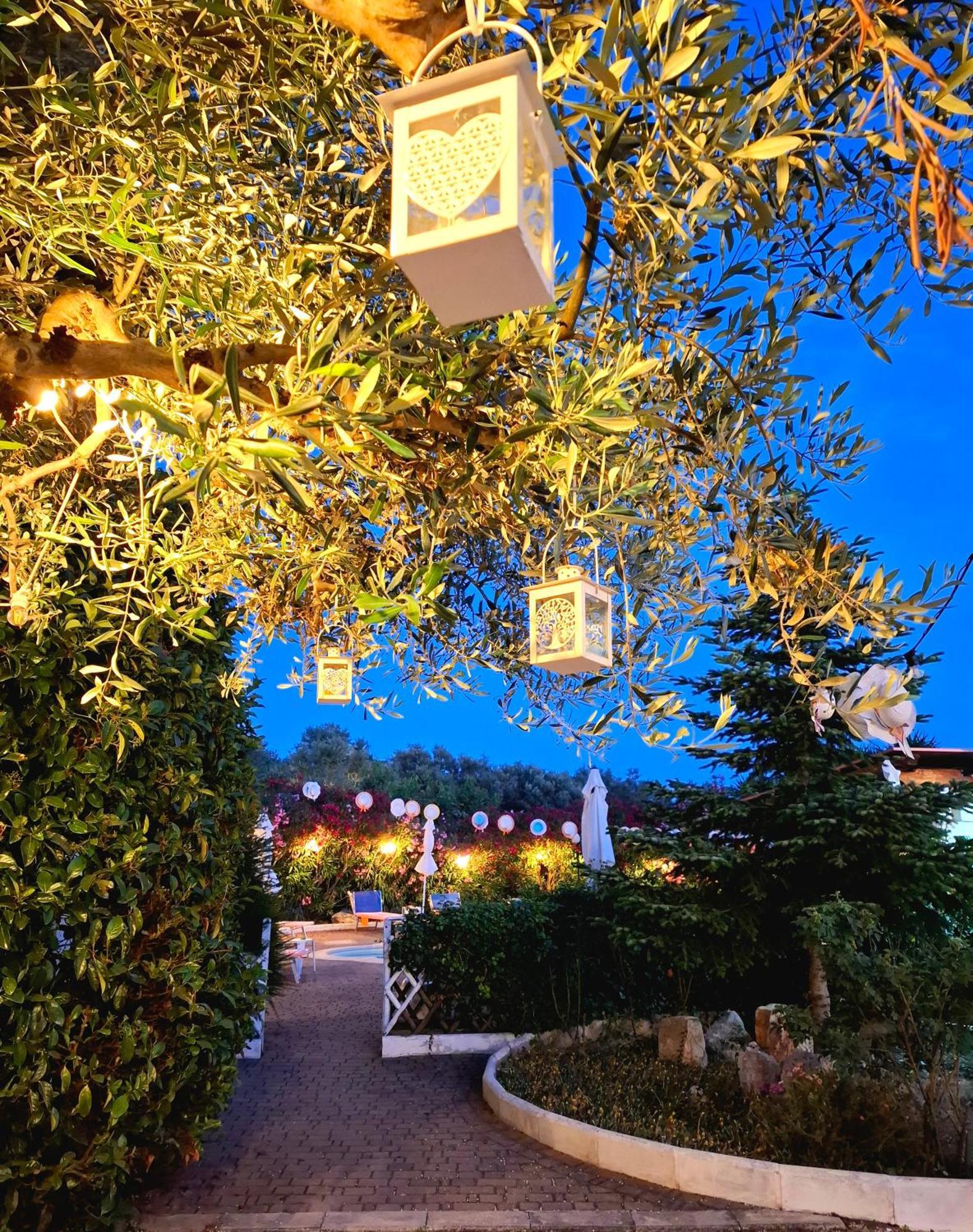 アルベロベッロ B＆B ミレッラ Bed & Breakfast エクステリア 写真