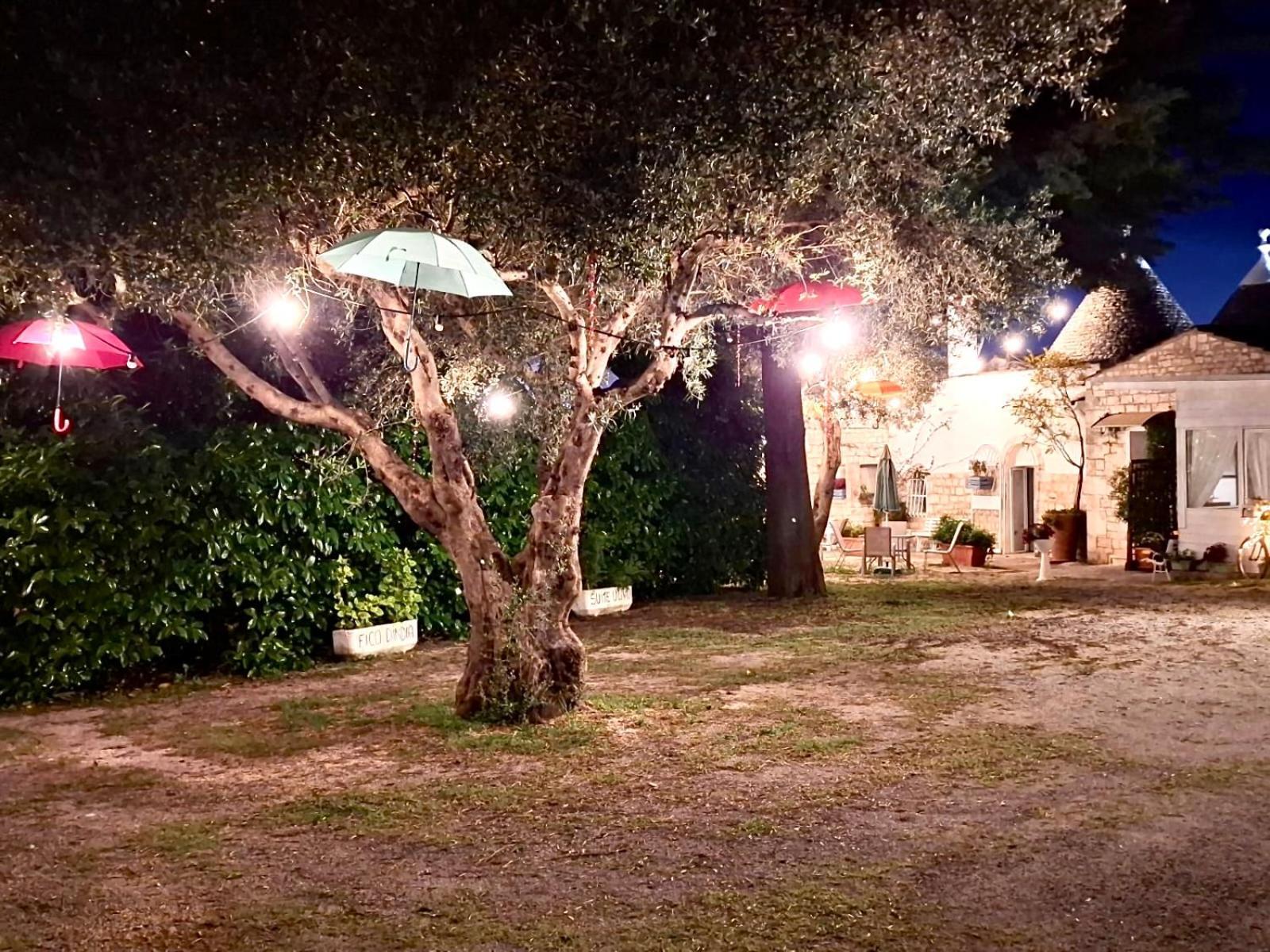 アルベロベッロ B＆B ミレッラ Bed & Breakfast エクステリア 写真