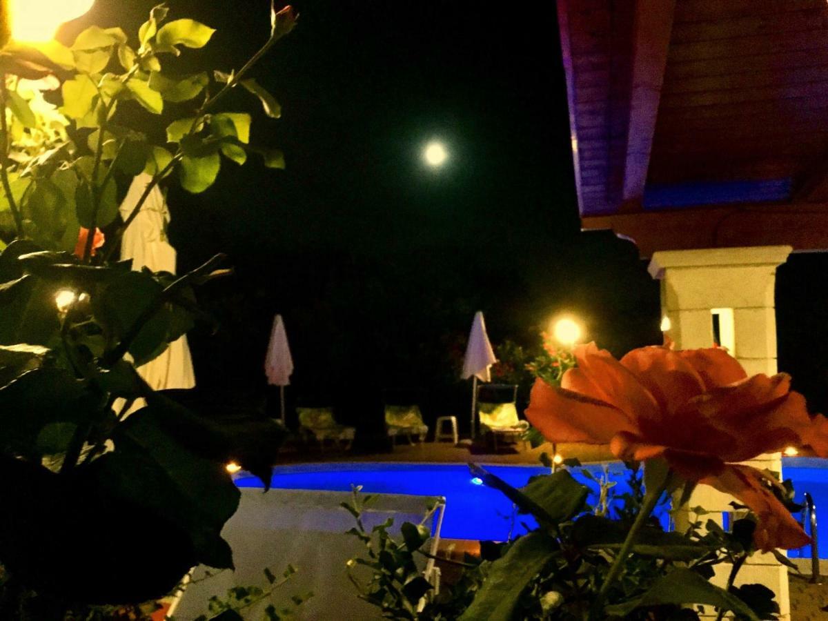 アルベロベッロ B＆B ミレッラ Bed & Breakfast エクステリア 写真
